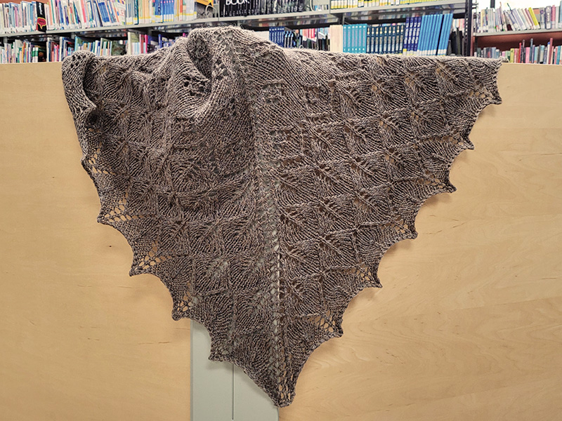 Aston shawl on a library interior wall.